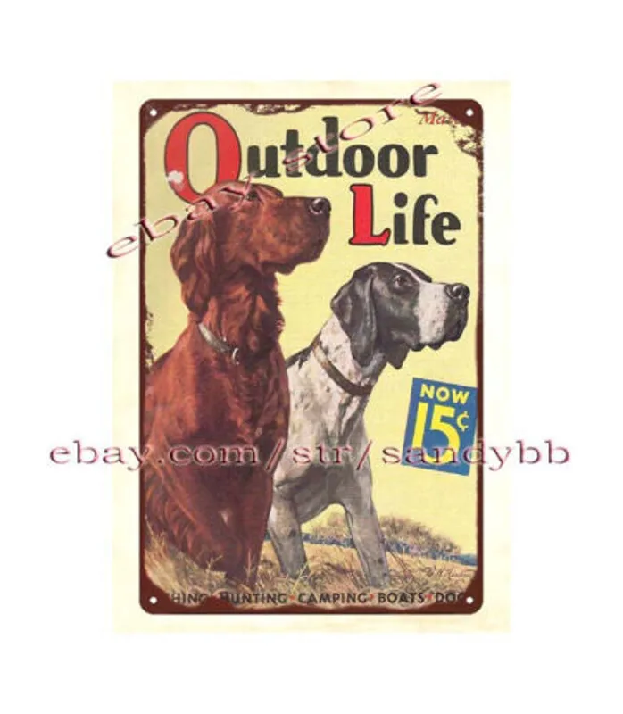 Hunting Outdoor Shop - 1936 rustic living outdoor hunting dog