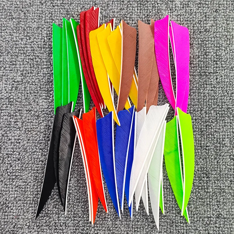 50pcs Archery Arrow Feathers 4 - Arrow Carbon Shaft review and price