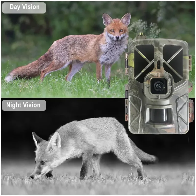 HC-935Pro 2K Outdoor Wildlife  - Outdoor Hunting Camera Wireless review and price