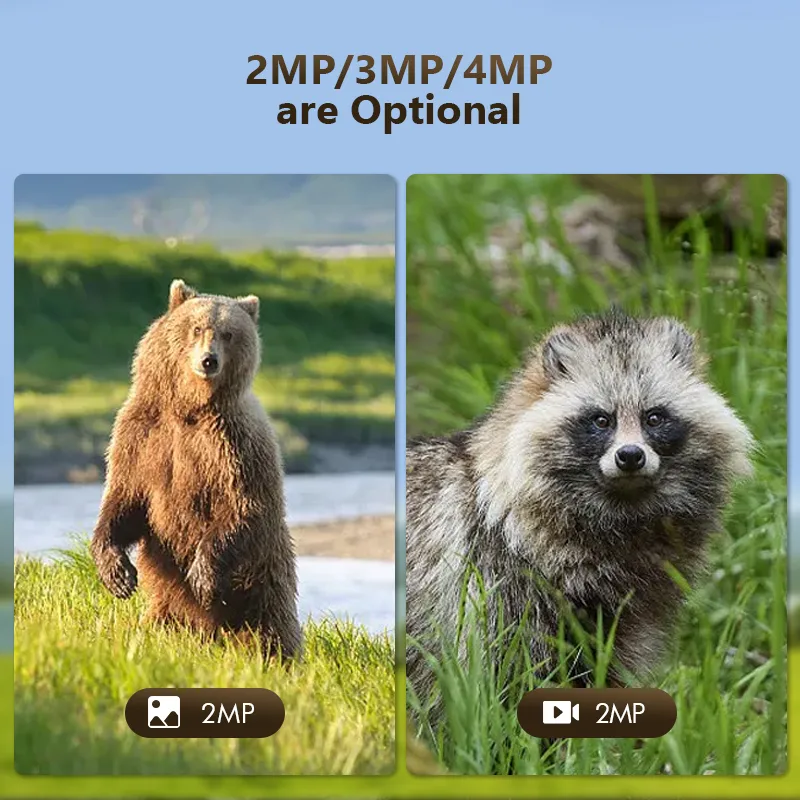 4G 4MP Outdoor Wildlife Huntin - Outdoor Hunting Camera Wireless review and price