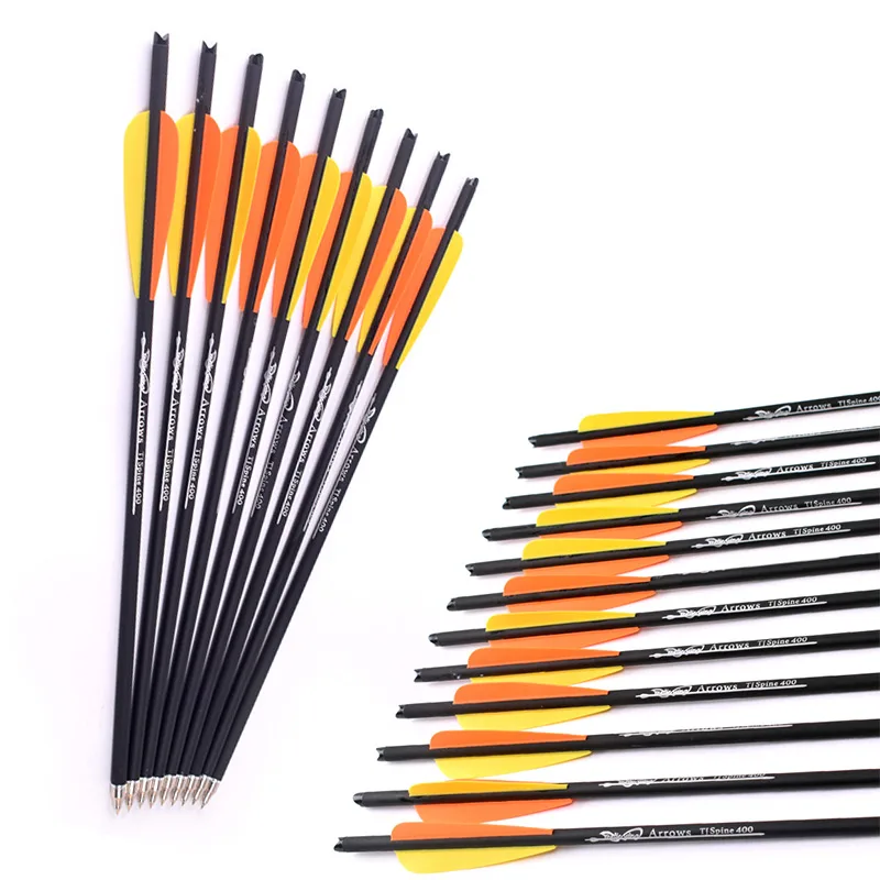 12Pcs 16/17/18/20/22 Inches Ar - Arrow Carbon Shaft review and price